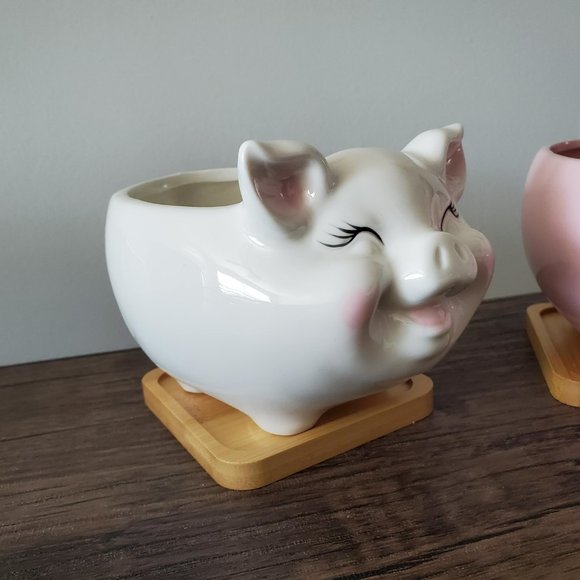 Pig Planter, White Pig Plant Pot, Ceramic Animal Planter, Succulent Planter, 6" - Picture 2 of 8